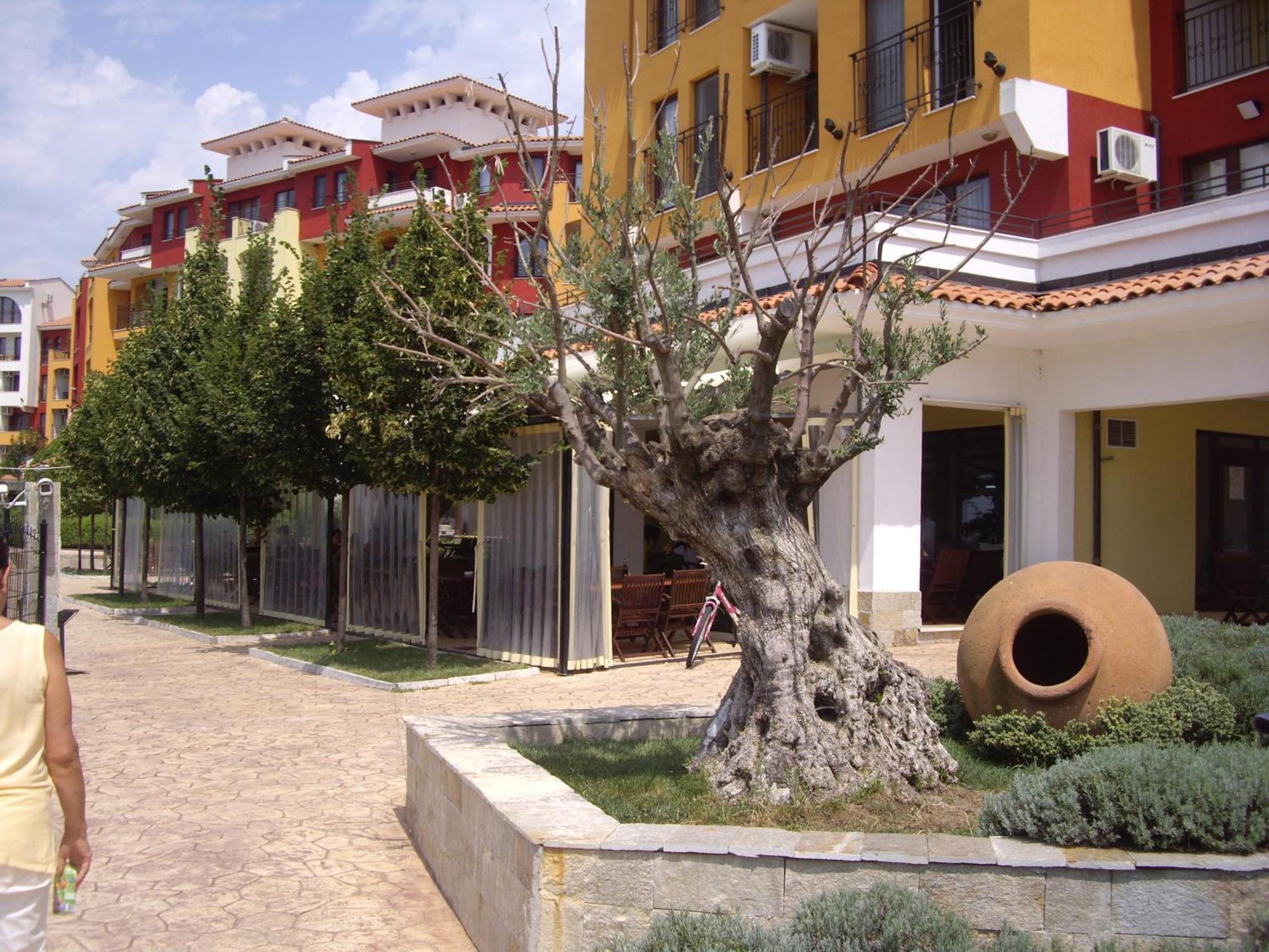 Studio Deluxe In Marina Cape 4 Stars Complex 33 7 Aheloi Exterior foto